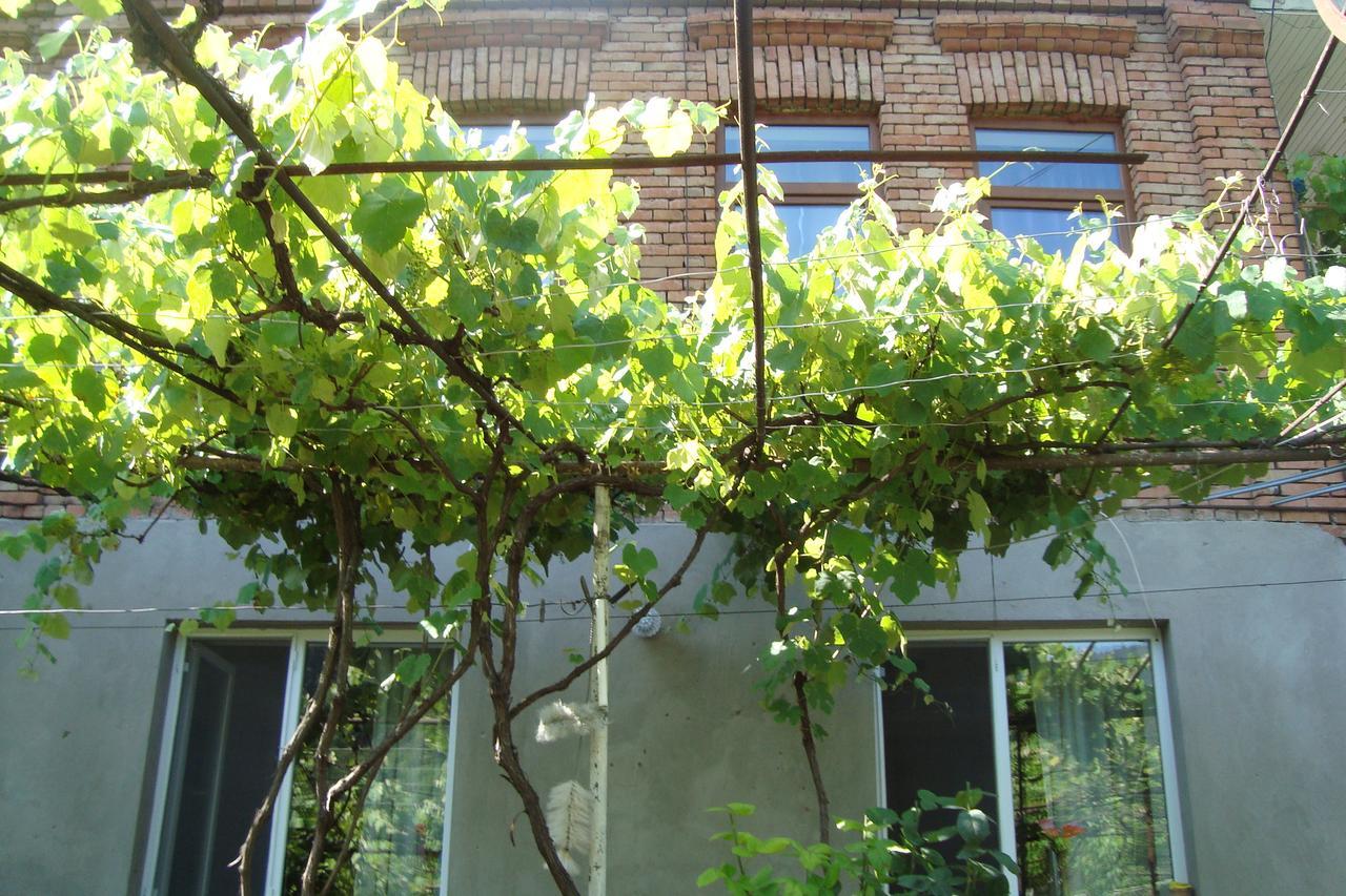 Guesthouse Valeria Bordżomi Zewnętrze zdjęcie